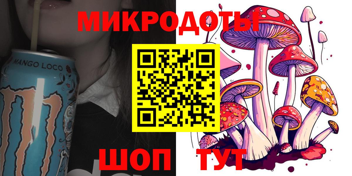 Псилоцибиновые грибы Cubensis Минеральные Воды
