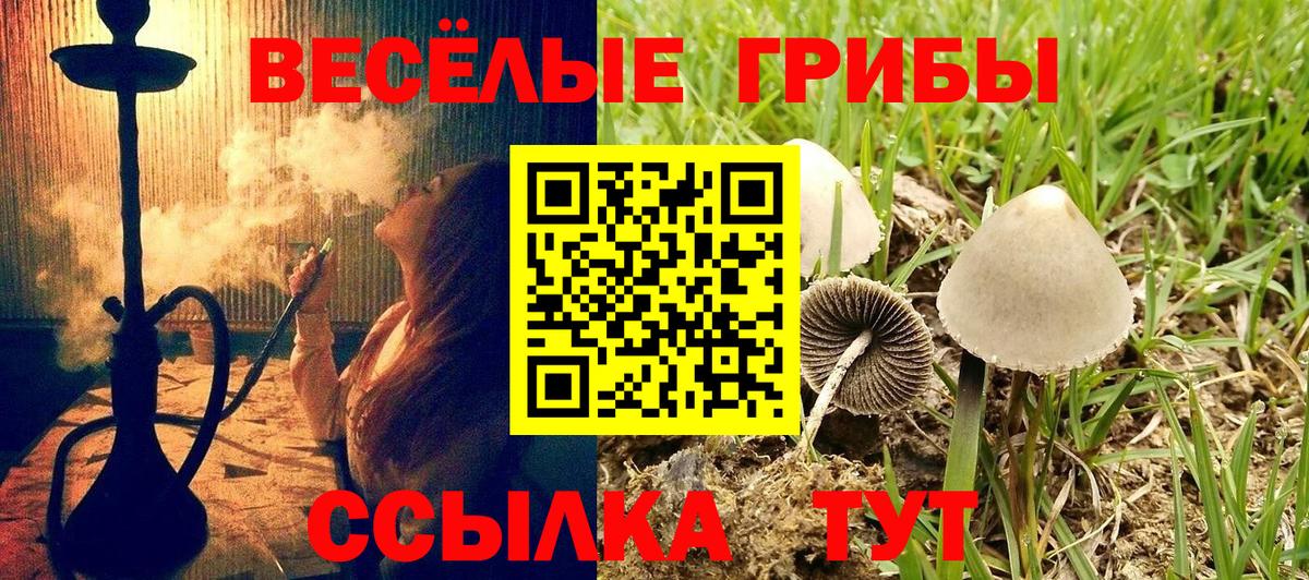 Минеральные Воды  Галлюциногенные грибы ЛСД  Вход с VPN 